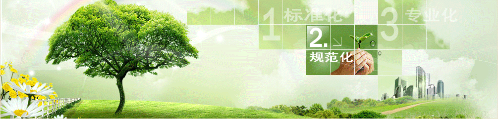 第0張